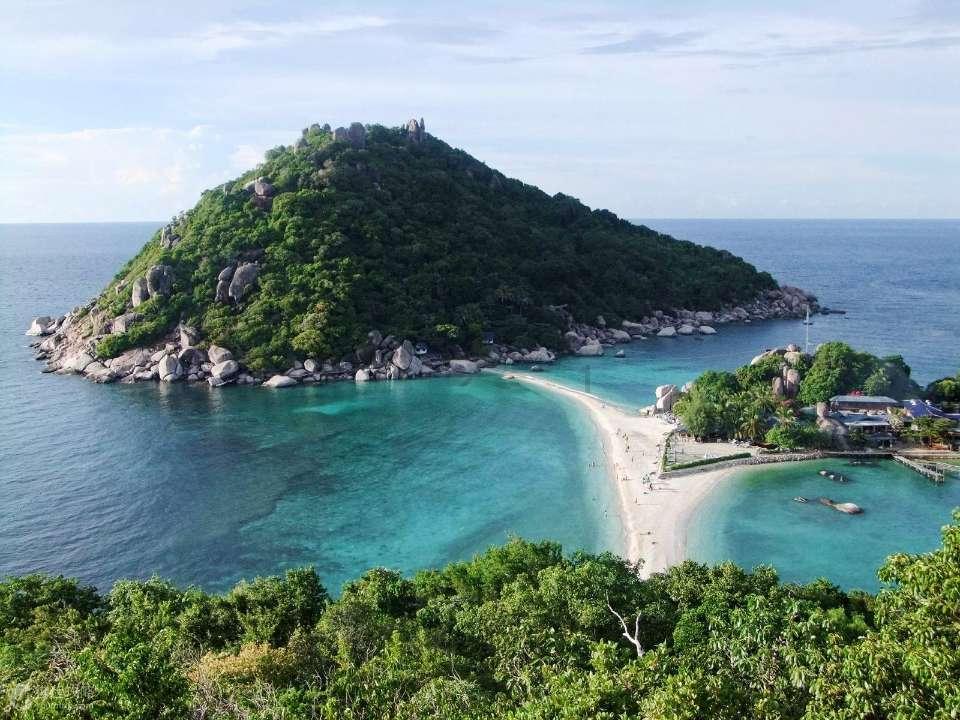 探索会计的生涯楷模的红迪网平台